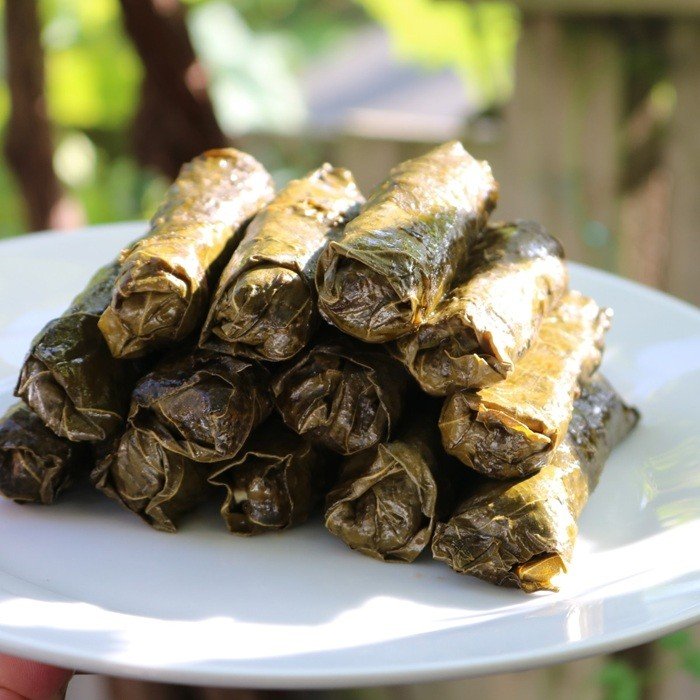 Stuffed Grape Leaves